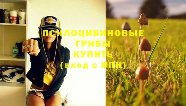 хмурый Алексеевка