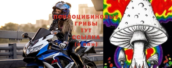 хмурый Алексеевка